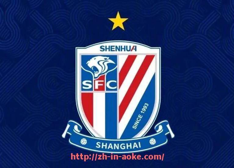 澳客足彩-英超球员专属球衣款式及定制服务介绍