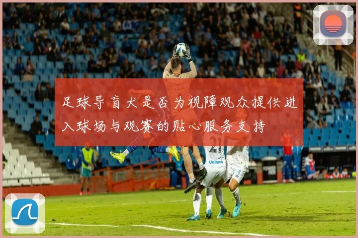 足球导盲犬是否为视障观众提供进入球场与观赛的贴心服务支持